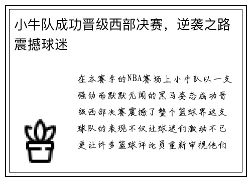 小牛队成功晋级西部决赛，逆袭之路震撼球迷