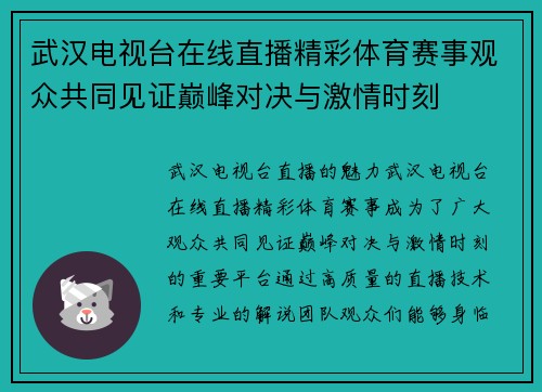 武汉电视台在线直播精彩体育赛事观众共同见证巅峰对决与激情时刻