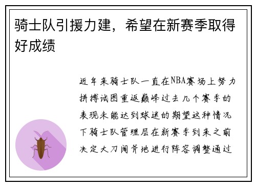 骑士队引援力建，希望在新赛季取得好成绩